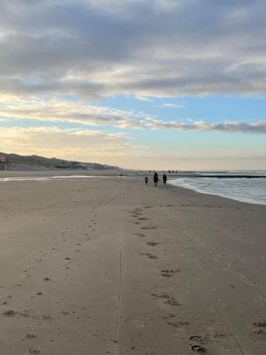 Beach Appartement Callantsoog