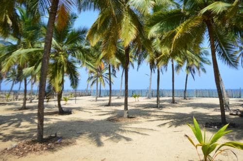 Half Moon Beach Resort