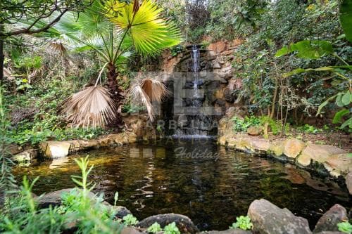 Jardines del Mar