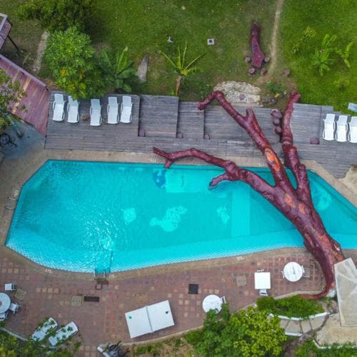 Rio Elemento