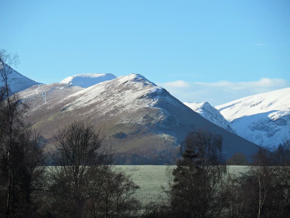 Lane Rigg
