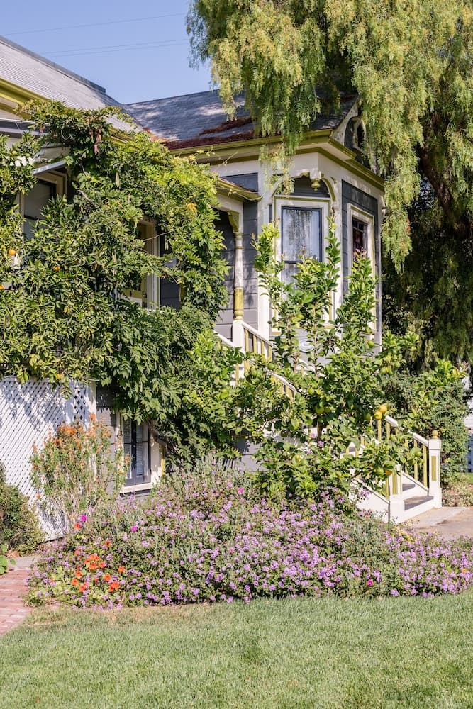 A charming Victorian-style house surrounded by lush greenery, vibrant flowers, and fruit-bearing trees creates a serene suburban retreat ideal for family vacations and nature lovers.