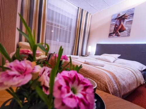 Wellness Hotel Synot