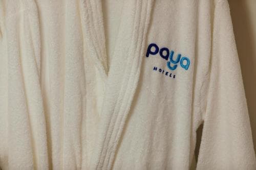 Paya I