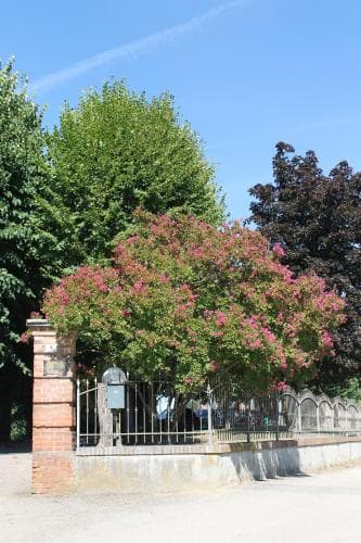 Villa Conte Riccardi