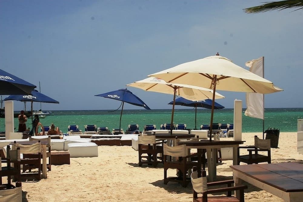 Bavaro Green
