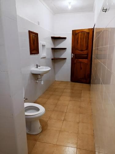 Shamba Hostel