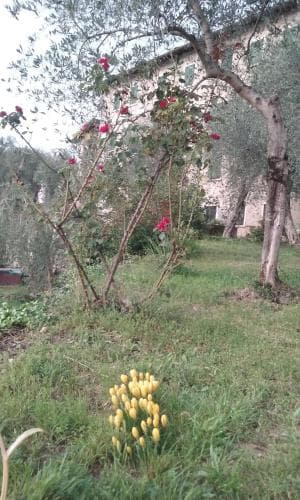 Villa Candoras
