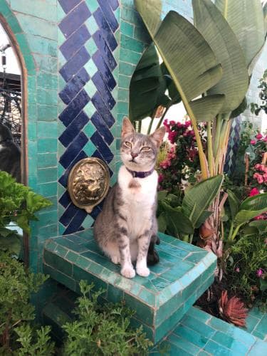 Riad Marhaba
