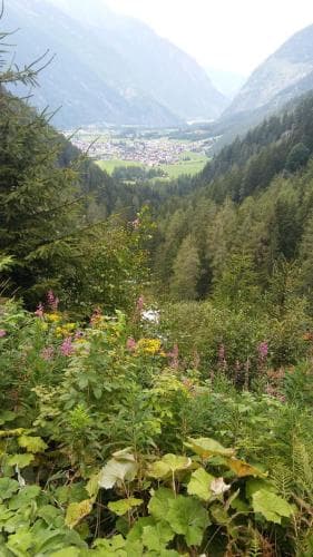 Haus Rosi
