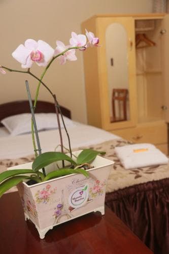 Flor Del Valle