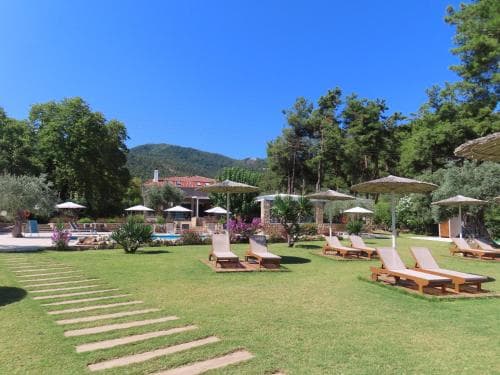 A serene resort lawn dotted with wooden sun loungers under parasols, surrounded by lush greenery and distant hills, offers an idyllic setting for relaxation and leisure travel.