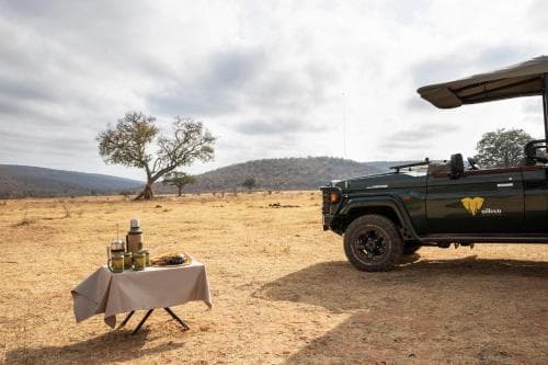 Camp Ndlovu