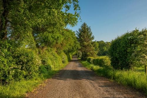 A serene gravel path winds through lush greenery under a clear blue sky, ideal for tranquil countryside walks or nature photography.