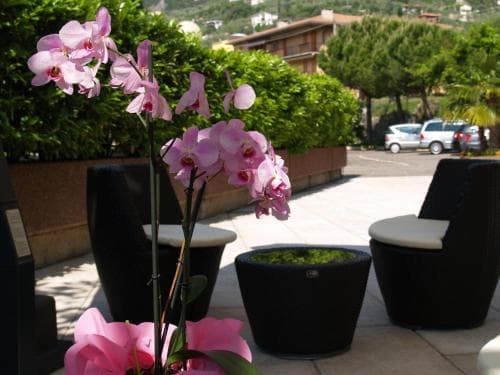 Hotel Casa Serena