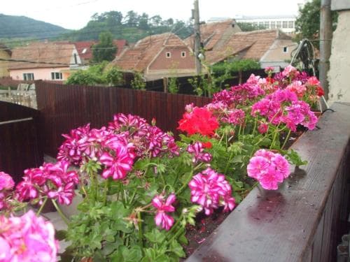 Pension Sighisoara