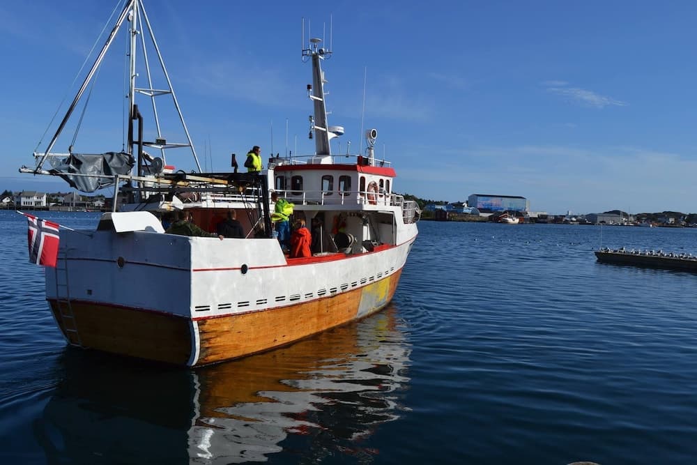 Sjøstrand Rorbuer