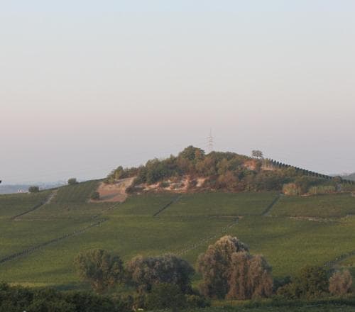 Villa Vecchio