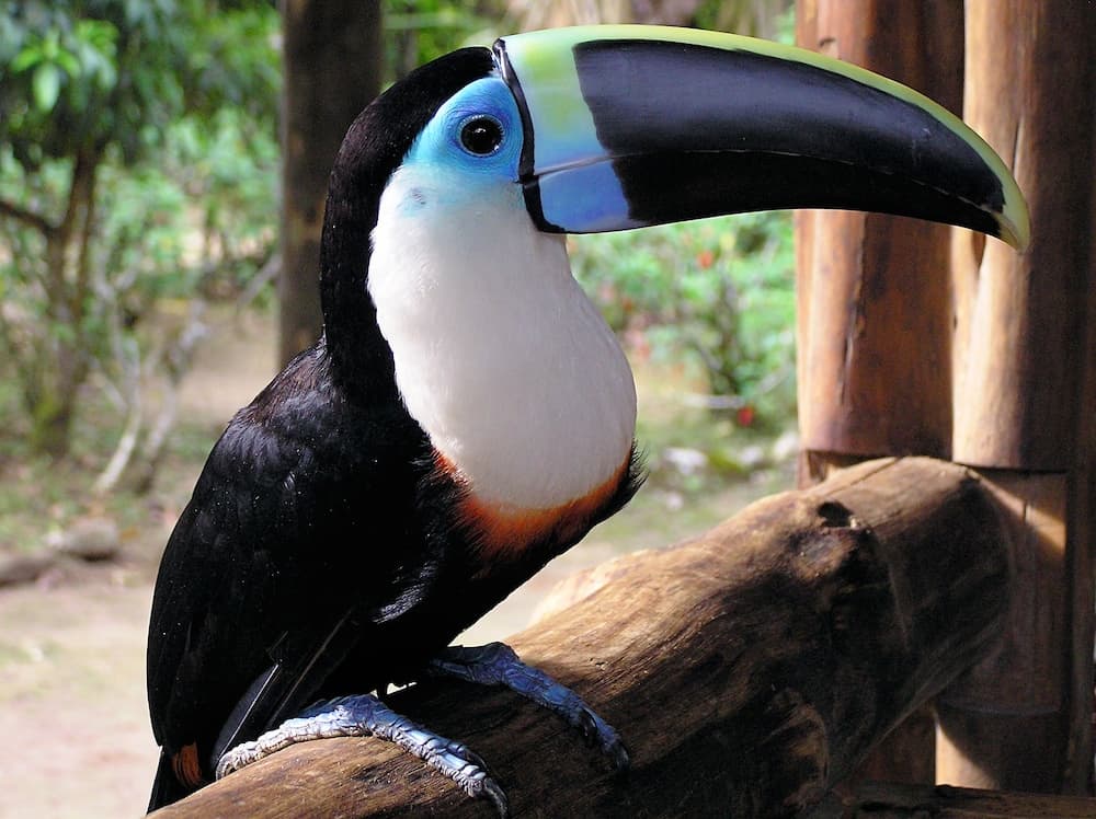 Yacuma Ecolodge