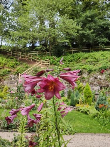 Cascades Gardens