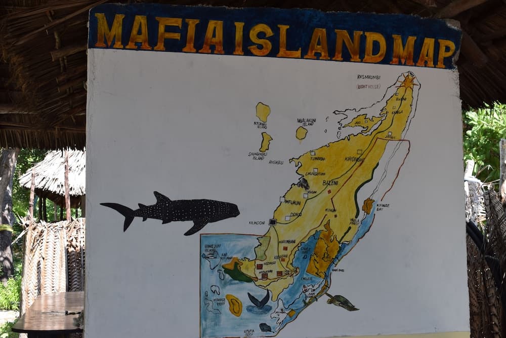 A vibrant hand-painted map of Mafia Island, featuring marine life illustrations, invites travelers to explore its tropical paradise under a thatched-roof shelter.