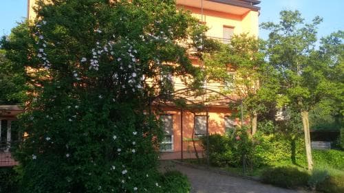 B&B Marigold