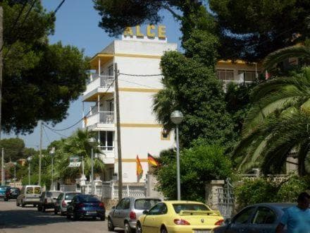 A sunny street scene featuring the ALCE hotel with palm trees and parked cars, ideal for travelers seeking a relaxed coastal getaway.
