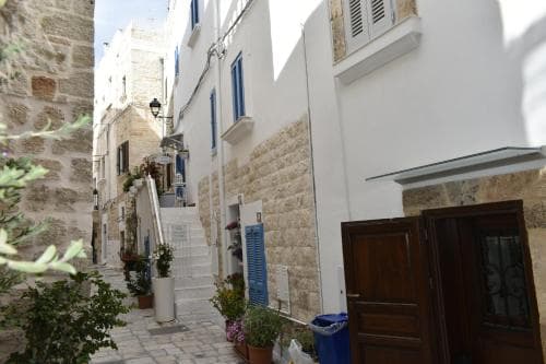 B&B Prestige