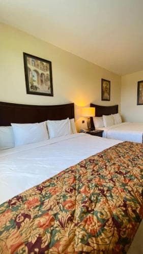 Las Palmas Inn