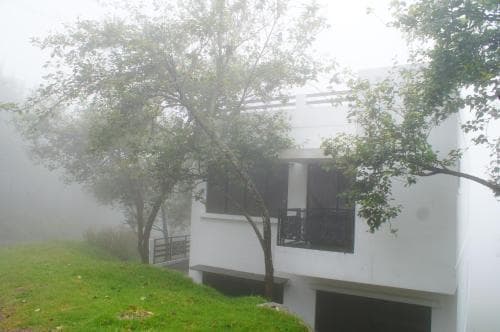 Pearwoods