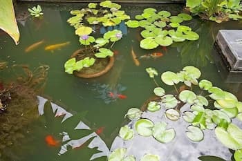Siam Samui Villa