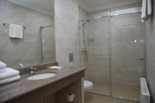 Hotel Aner