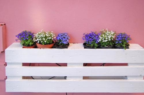 B&B Lulia Augusta