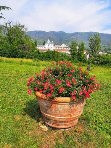 Villa Coli