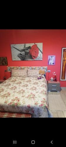 B&B Erbagatta