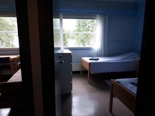 Koivupuisto