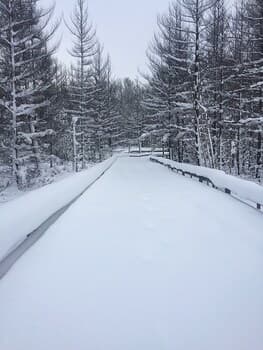 The Ridge