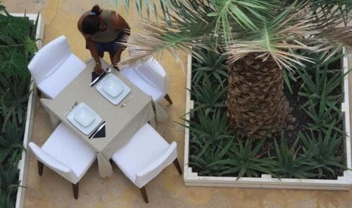 An overhead view captures a serene outdoor dining area with white chairs and tables set beside lush greenery and a palm tree, ideal for travelers seeking a tranquil tropical retreat experience.