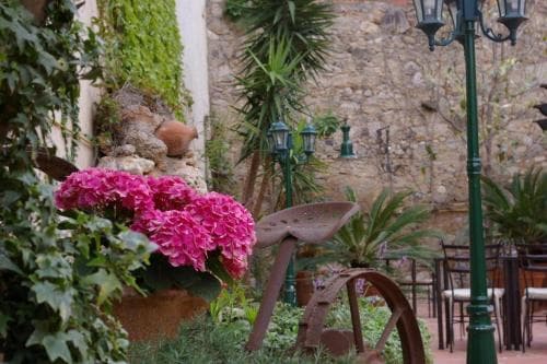 Can Ceret