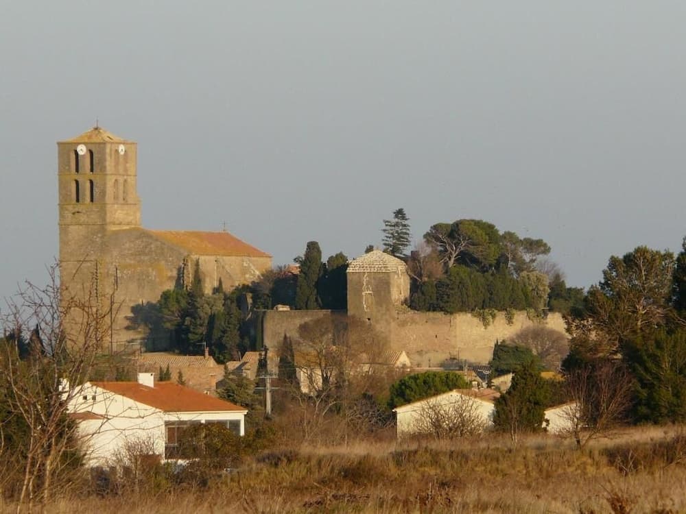 Chateau De Puicheric