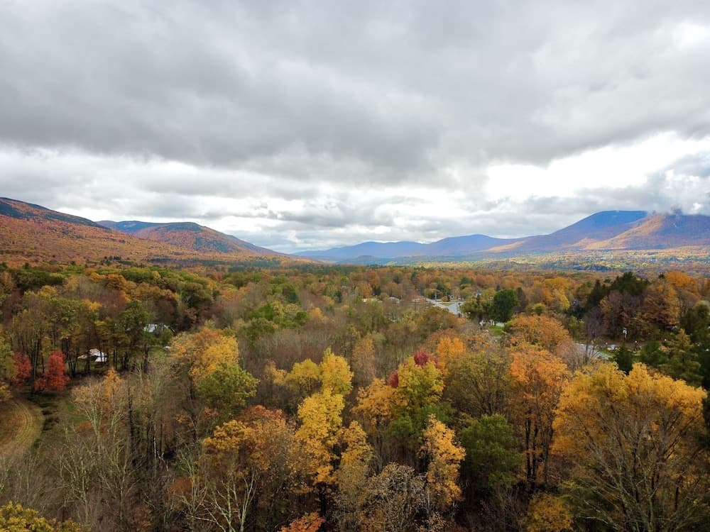 Toll Road Inn