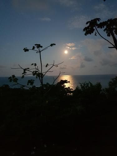 Punta Marenco Lodge