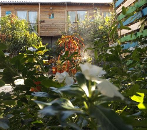 Buganvilla Guest House