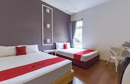 Rose Chamber Bed & Breakfast