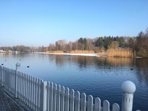 A serene lakeside scene with calm waters, a white picket fence, and distant trees under a clear blue sky, ideal for tranquil walks or nature photography.