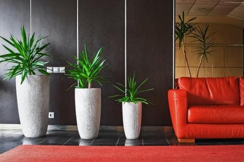 Hotel Palma