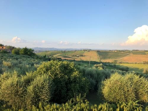 Agriturismo L'Olmo
