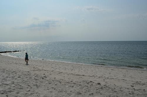Cape Shore Inn