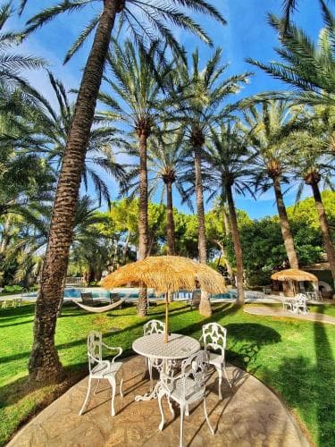 El Oasis