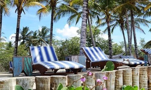 Sunlit beachside loungers under towering palm trees evoke a serene tropical getaway, ideal for relaxation and vacation photography.